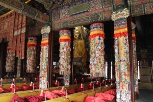 Para entender à que estudar