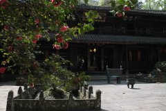 Flores no mosteiro Flores no mosteiro