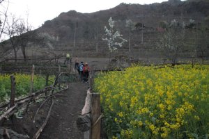 O início do trekking