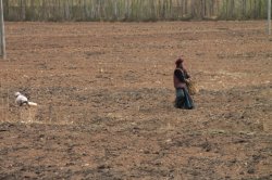 IMG_4971 (FILEminimizer)