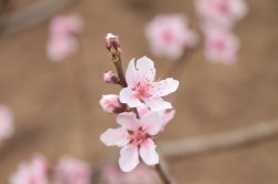 IMG_4978 (FILEminimizer)