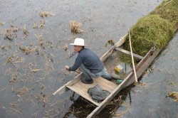 IMG_5012 (FILEminimizer)