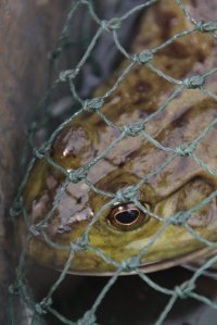 IMG_5025 (FILEminimizer)