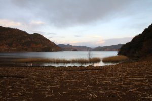 IMG_5269 (FILEminimizer)