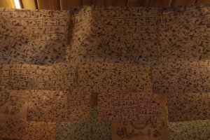 IMG_5465 (FILEminimizer)