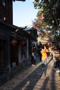 IMG_5483 (FILEminimizer)