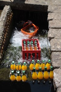 IMG_5526 (FILEminimizer)