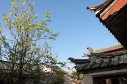 IMG_5496 (FILEminimizer)