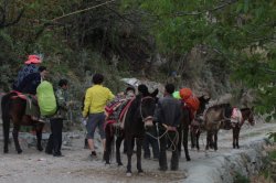 IMG_5792 (FILEminimizer)