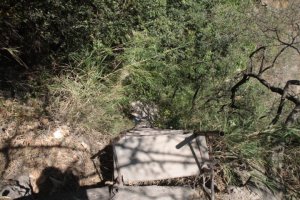 IMG_5982 (FILEminimizer)