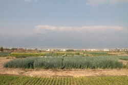 Campos IMG_6410 (FILEminimizer)