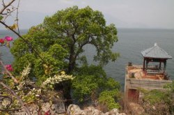 O Melhor de NanZhao IMG_6529 (FILEminimizer)