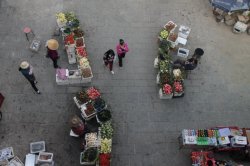 IMG_6583 (FILEminimizer)