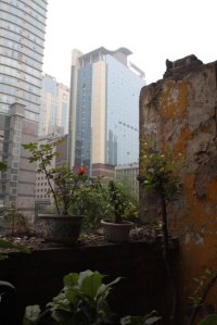 IMG_6970 (FILEminimizer)