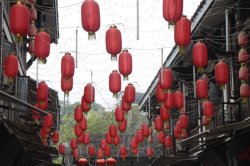 IMG_7027 (FILEminimizer)