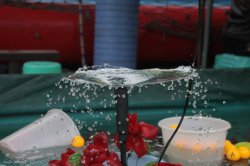 IMG_7073 (FILEminimizer)