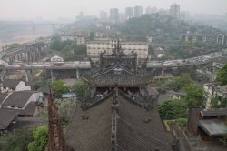 IMG_7115 (FILEminimizer)