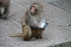 IMG_7604 (FILEminimizer)