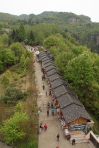 IMG_7845 (FILEminimizer)