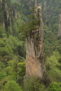 IMG_7857 (FILEminimizer)