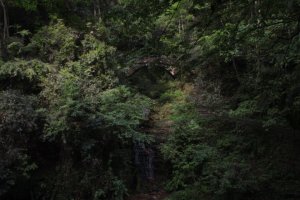 IMG_8035 (FILEminimizer)