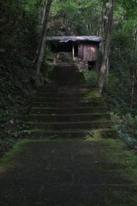 IMG_8040 (FILEminimizer)