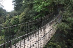 IMG_8098 (FILEminimizer)