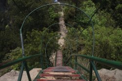 IMG_8127 (FILEminimizer)