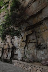 IMG_8136 (FILEminimizer)