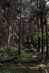 IMG_8200 (FILEminimizer)