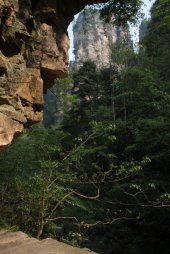 IMG_8218 (FILEminimizer)