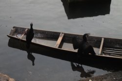 IMG_8319 (FILEminimizer)