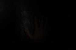 O Peso da História IMG_8431 (FILEminimizer)