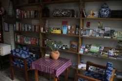 IMG_8519 (FILEminimizer)