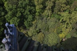 IMG_8656 (FILEminimizer)