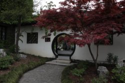 IMG_8797 (FILEminimizer)