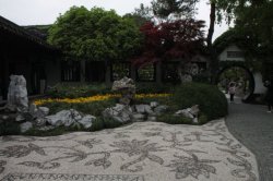 IMG_8804 (FILEminimizer)