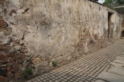 IMG_9467 (FILEminimizer)