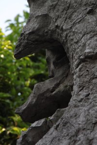 IMG_0055 (FILEminimizer)