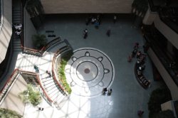 IMG_0477 (FILEminimizer)