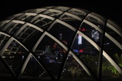 IMG_0761 (FILEminimizer)