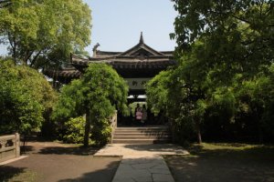 IMG_1071 (FILEminimizer)