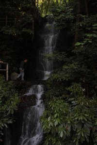 IMG_1116 (FILEminimizer)