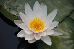 IMG_1208 (FILEminimizer)