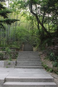 IMG_1515 (FILEminimizer)