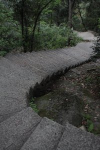 IMG_1557 (FILEminimizer)