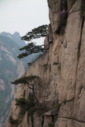 IMG_1855 (FILEminimizer)