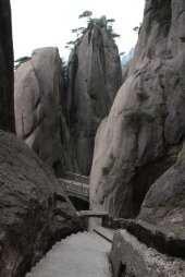 IMG_1857 (FILEminimizer)