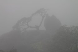 IMG_1971 (FILEminimizer)