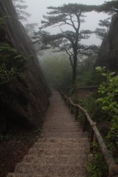 IMG_2090 (FILEminimizer)